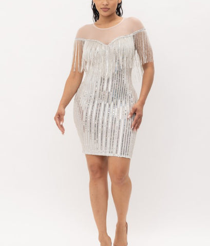 Embellished Fringe Dress/ w Mesh